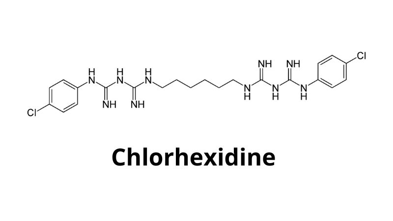 Chlorhexidine Gluconate (CHG) - Oinani